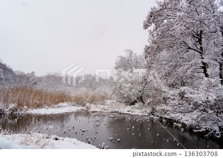 Sanpoji Pond in Snow 136303708