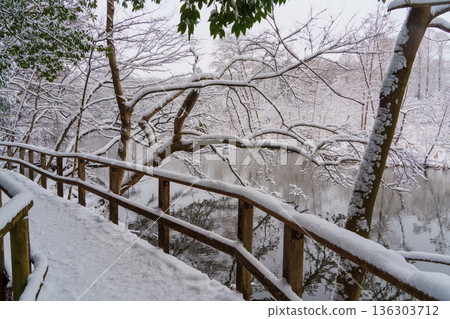 三寶寺池周圍的雪景木棧道 三寶寺池周圍的雪景木棧道 136303712