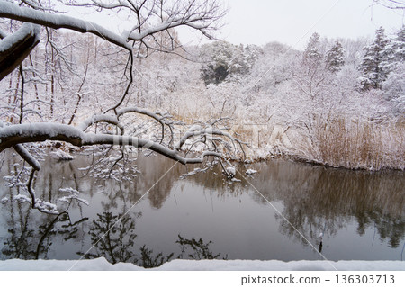 雪山寶雞池 雪山寶雞池 136303713