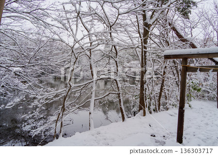 白雪覆蓋的三寶寺池和鳥居 白雪覆蓋的三寶寺池和鳥居 136303717