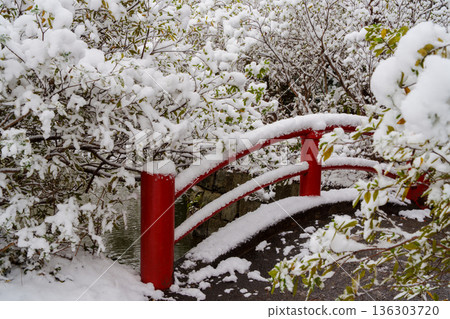 白雪皚皚的三浦池和嚴島神社的拱橋 白雪皚皚的三浦池和嚴島神社的拱橋 136303720