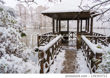 三寶寺池邊的雪景涼亭 136303721