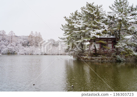 白雪皚皚的三寶寺池和嚴島神社 白雪皚皚的三寶寺池和嚴島神社 136303723