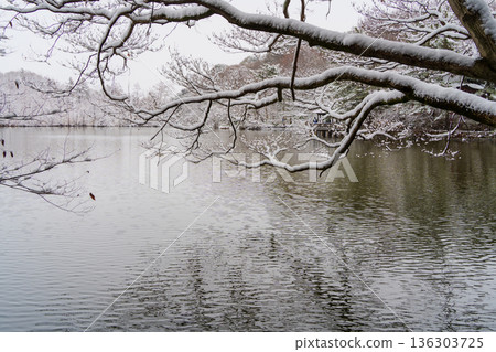 Snowy gazebo at Sanboji Pond Snowy gazebo at Sanboji Pond 136303725