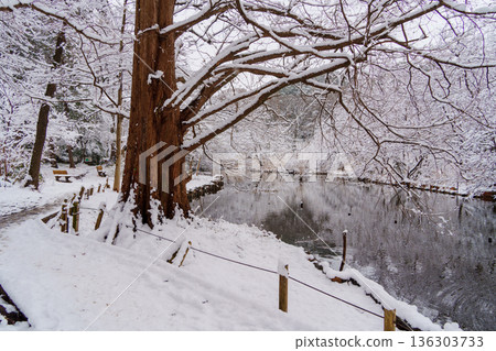 雪山寶雞池 雪山寶雞池 136303733