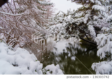 雪石寺池 雪石寺池 136303742