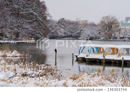 雪景石神井公園乘船遊覽 136303744