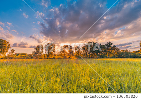 Sunset spring summer landscape. Colorful clouds and sun rays over idyllic field 136303826