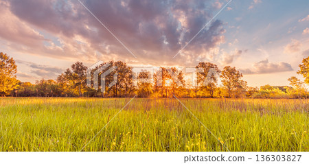 Calm peaceful dream landscape. Sunset spring summer meadow field colorful clouds 136303827