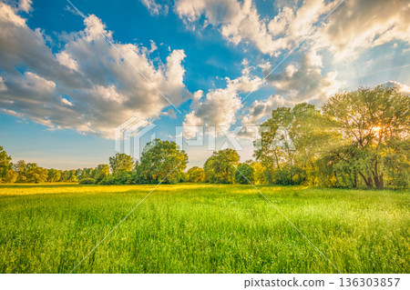 Breathtaking spring summer nature field landscape trees sunset sunlight cloudy idyllic outdoors background  136303857