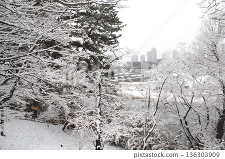 多摩河泰園 136303909