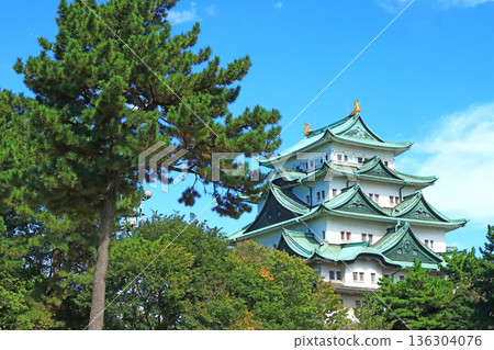 愛知縣名古屋市名古屋城景觀 愛知縣名古屋市名古屋城景觀 136304076