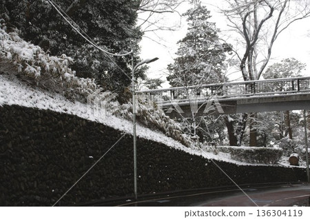 玉川大公園 玉川大公園 136304119