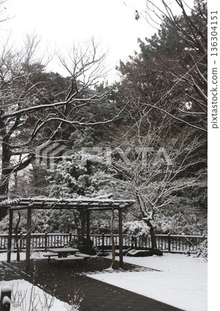 玉川大公園 玉川大公園 136304151