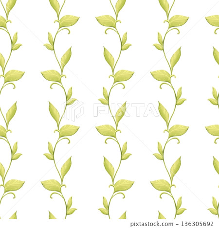 Hand drawn illustration of seamless pattern with elegant green leaves and climbing branches on white background. Botanical floral texture for textile, wrapping paper, wallpaper and surface design. Hand drawn illustration of seamless pattern with elegant green leaves and climbing branches on white background. Botanical floral texture for textile, wrapping paper, wallpaper and surface design. 136305692