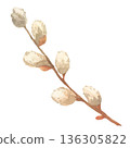 Watercolor Soft Spring Branch with Buds 136305822