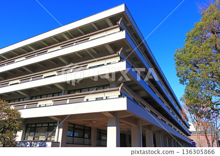 東京都千代田區永田町國立國會圖書館風景 東京都千代田區永田町國立國會圖書館風景 136305866