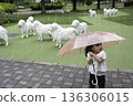 女孩撐著傘在公園散步。 136306015
