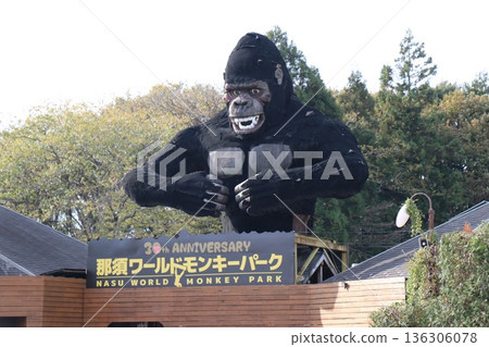 Nasu World Monkey Park, Nasu, Tochigi Prefecture Nasu World Monkey Park, Nasu, Tochigi Prefecture 136306078