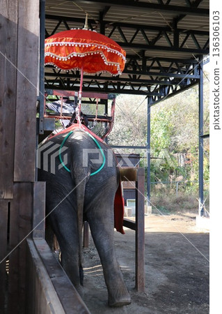 那須世界猴園，栃木縣那須市 136306103