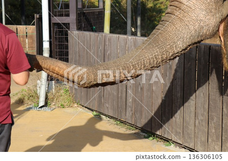 那須世界猴園，栃木縣那須市 136306105