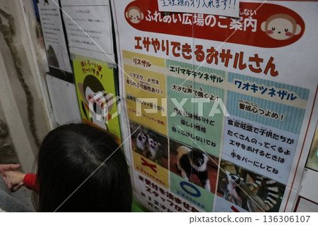 Nasu World Monkey Park, Nasu, Tochigi Prefecture Nasu World Monkey Park, Nasu, Tochigi Prefecture 136306107