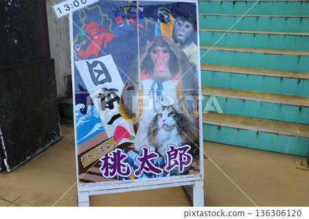 Nasu World Monkey Park, Nasu, Tochigi Prefecture Nasu World Monkey Park, Nasu, Tochigi Prefecture 136306120