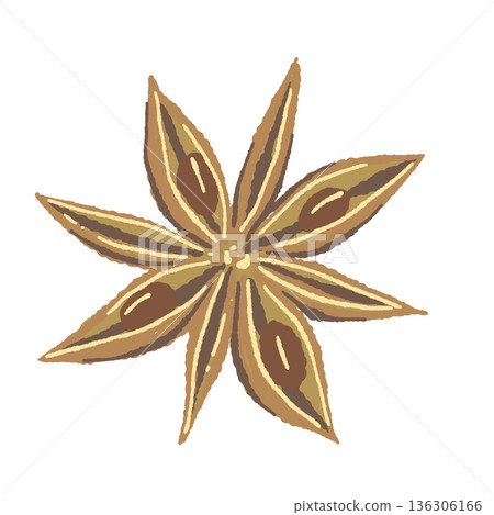 A detailed illustration of a single star anise 136306166