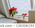 Christmas plant Christmas star, poinsettia window covered with snow 136306193