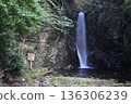 Waterfall in the forest 136306239