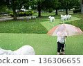 雨中，一個孩子撐著傘在公園散步。 136306655