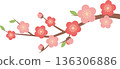 Plum Blossom Branch Illustration for Chinese New Year and Spring Festival Decoration 136306886