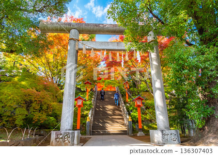 東京新宿區早稻田的秋景,以及穴八幡神社的第二座鳥居。 東京新宿區早稻田的秋景,以及穴八幡神社的第二座鳥居。 136307403