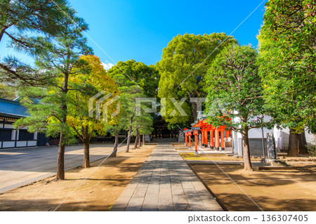 秋日晴朗,東京新宿區早稻田的穴八幡神社。 秋日晴朗,東京新宿區早稻田的穴八幡神社。 136307405