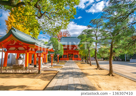 The grounds of Ana Hachiman Shrine on a clear autumn day in Waseda, Shinjuku Ward, Tokyo The grounds of Ana Hachiman Shrine on a clear autumn day in Waseda, Shinjuku Ward, Tokyo 136307410