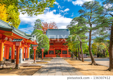 秋日晴朗,東京新宿區早稻田的穴八幡神社。 秋日晴朗,東京新宿區早稻田的穴八幡神社。 136307412