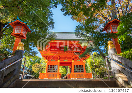 東京新宿區早稻田:秋日晴朗的穴八幡神社瑞神門 東京新宿區早稻田:秋日晴朗的穴八幡神社瑞神門 136307417