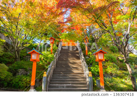 Autumn in Waseda, Shinjuku Ward, Tokyo, Anahachiman Shrine approach 136307418