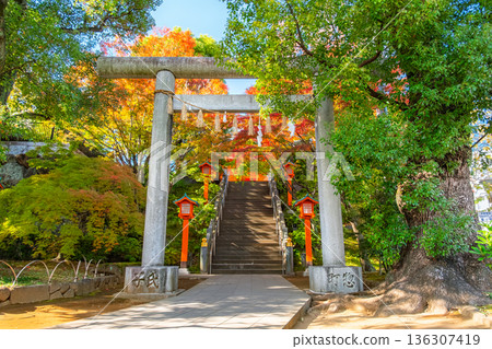 Autumn in Waseda, Shinjuku Ward, Tokyo, and the second torii gate of Anahachiman Shrine Autumn in Waseda, Shinjuku Ward, Tokyo, and the second torii gate of Anahachiman Shrine 136307419