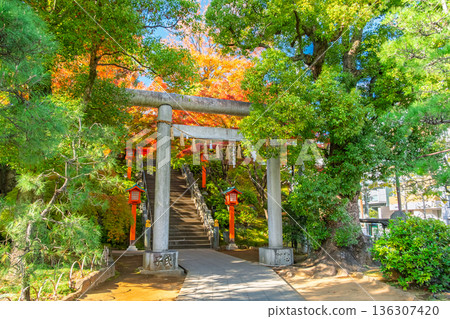 Autumn in Waseda, Shinjuku Ward, Tokyo, and the second torii gate of Anahachiman Shrine Autumn in Waseda, Shinjuku Ward, Tokyo, and the second torii gate of Anahachiman Shrine 136307420