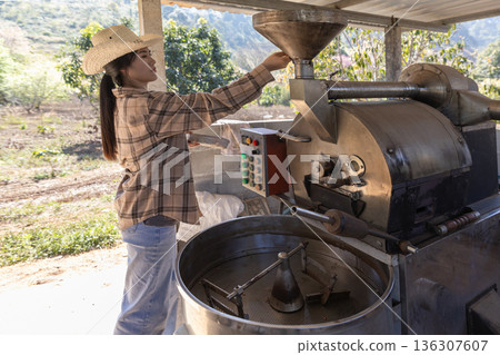 Coffee processing. Coffee roasting machine with arabica beans in stainless steel cooling bin. 136307607