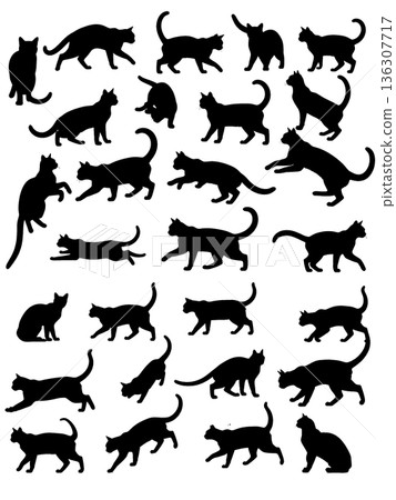 cute cat silhouette cute cat silhouette 136307717