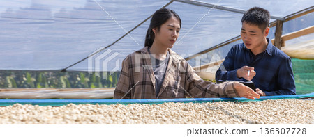 Farmer worker inspect and tossing dried coffee beans with hands at farm outdoors. Farmer worker inspect and tossing dried coffee beans with hands at farm outdoors. 136307728