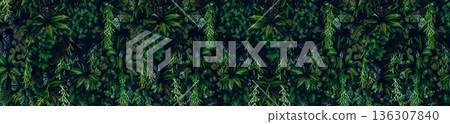 Herb wall, plant wall, natural green wallpaper and background. 136307840