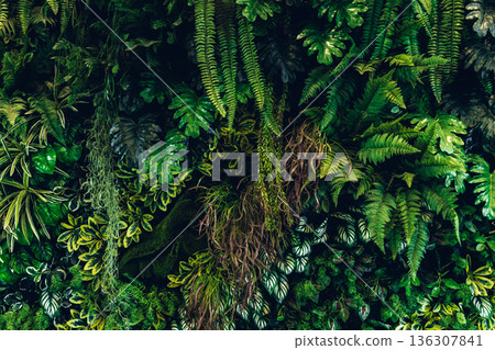 Herb wall, plant wall, natural green wallpaper and background. 136307841