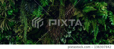 Herb wall, plant wall, natural green wallpaper and background. Herb wall, plant wall, natural green wallpaper and background. 136307842