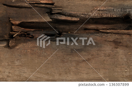 Black termite hole in wood Black termite hole in wood 136307899