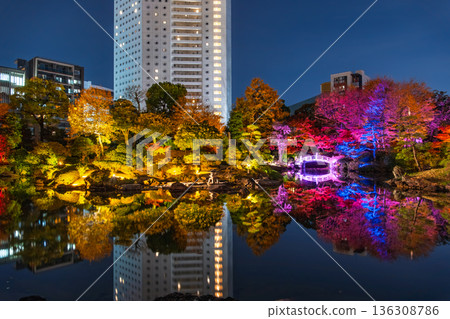 Autumn foliage illumination at the former Yasuda Garden in Ryogoku, Sumida Ward, Tokyo 136308786