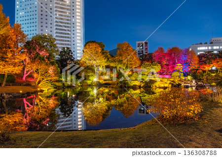 Autumn foliage illumination at the former Yasuda Garden in Ryogoku, Sumida Ward, Tokyo 136308788