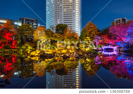 Autumn foliage illumination at the former Yasuda Garden in Ryogoku, Sumida Ward, Tokyo 136308789